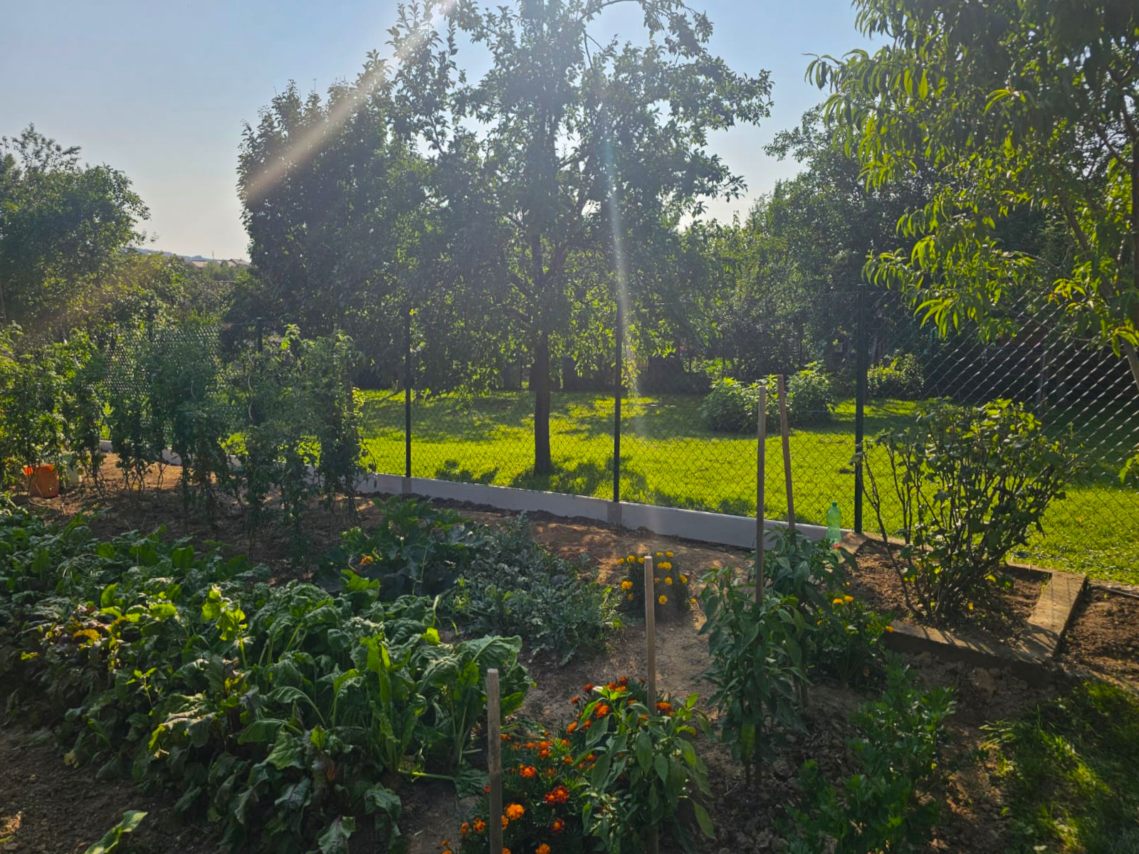 1b3546a9-11bc-4dfe-9970-42b977d59a38